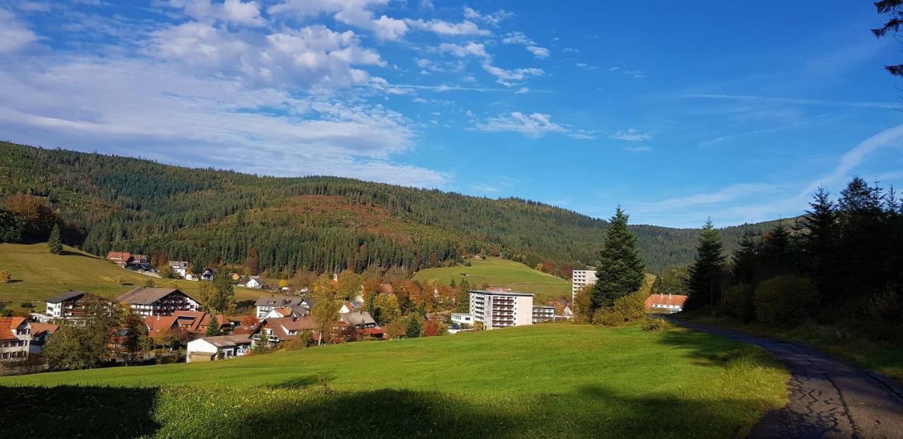 Ferienwohnung Tannenballett Im Schwarzwald Baiersbronn Exterior photo