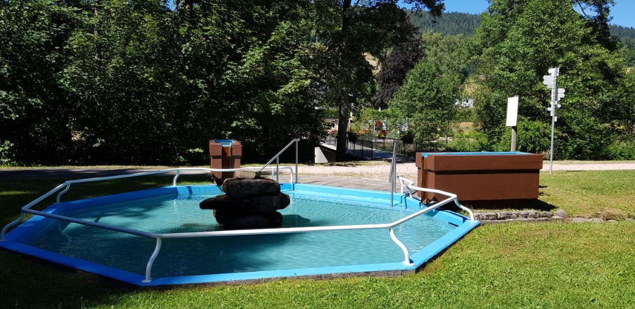 Ferienwohnung Tannenballett Im Schwarzwald Baiersbronn Exterior photo