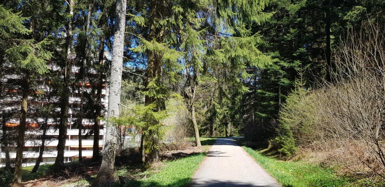 Ferienwohnung Tannenballett Im Schwarzwald Baiersbronn Exterior photo